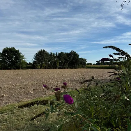 Lägenhet 2 Zi Mit Garten Und Terrasse Rheda-Wiedenbrück