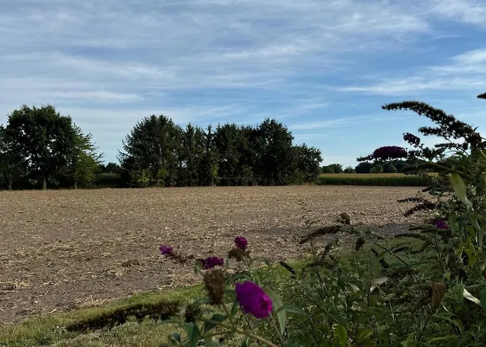 Apartament 2 Zi Mit Garten Und Terrasse Rheda-Wiedenbrück